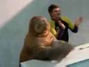 Morsa Bailando Tango
