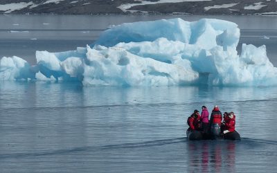 Humans and Walruses