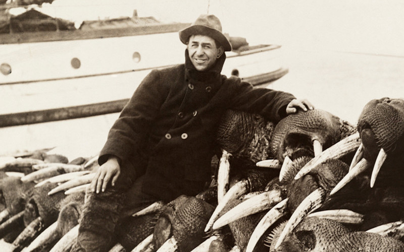 Walrus Hunting